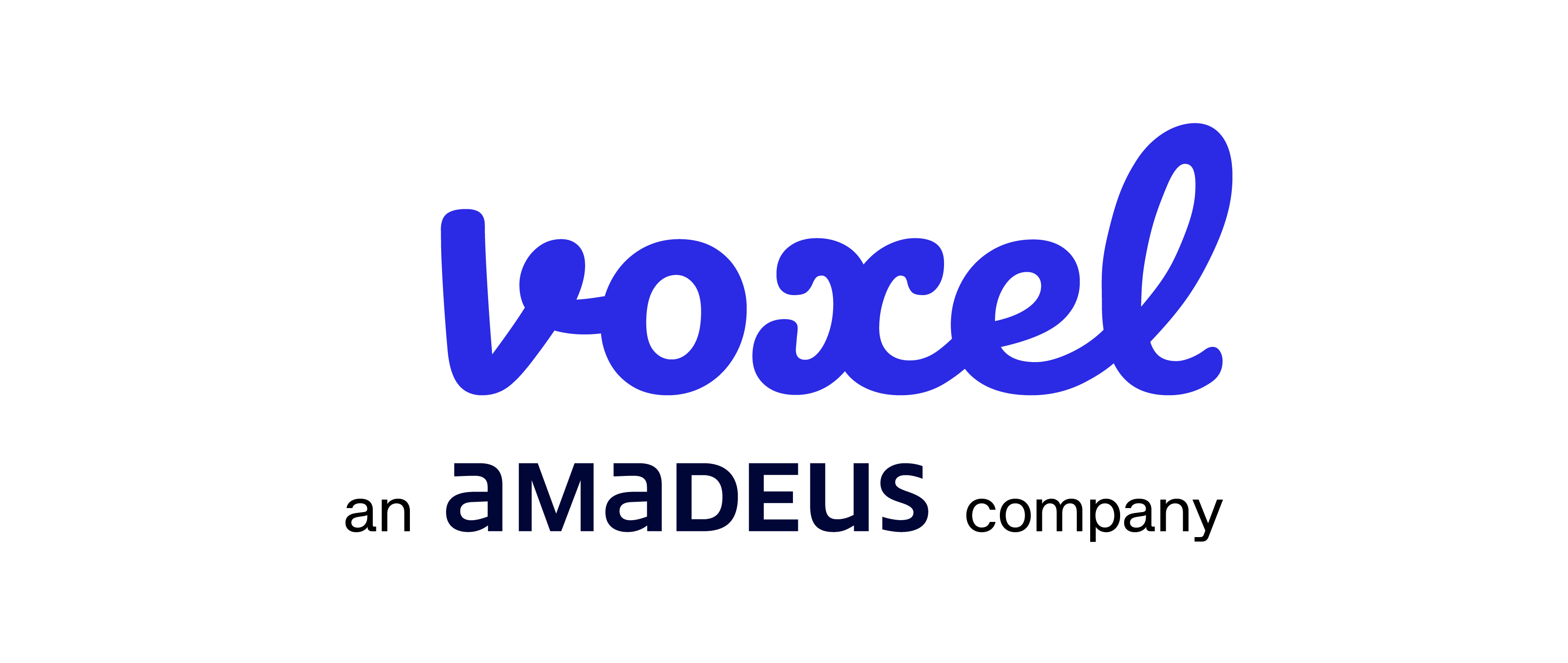 Voxel logo